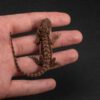 Zilla – female